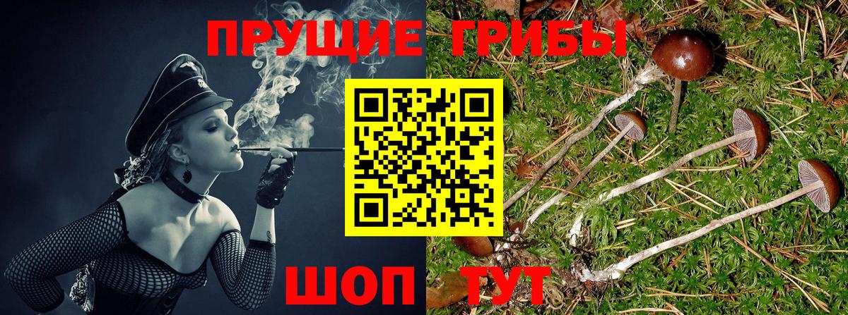 Псилоцибиновые грибы мухоморы  Псилоцибиновые грибы Magic Shrooms  Вход с VPN  Бутурлиновка 